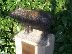 Jonge pantserneushoorn (1988) in dierentuin Artis, Amsterdam