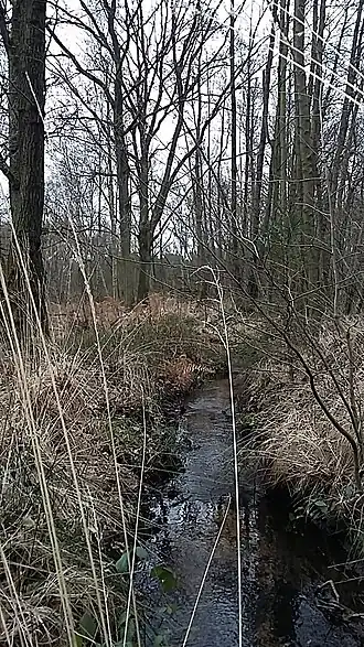 Bovenloop van de Asbeek, gedeelte tussen de twee eerste vijvers in