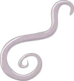 Vrouwelijke spoelworm