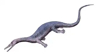 Askeptosaurus