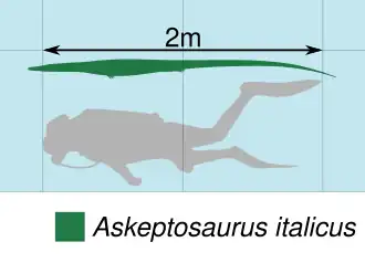 Askeptosaurus