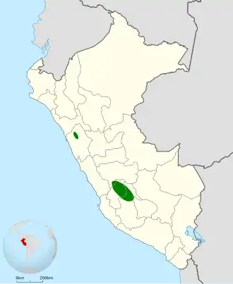 Bleekstaartcanastero