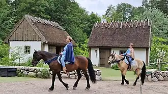 De gebroeders Leeuwenhart