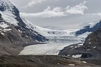 De berg Andromeda in de ochtend vanaf de Athabasca-gletsjer