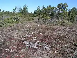 Karstlandschap bij Atla