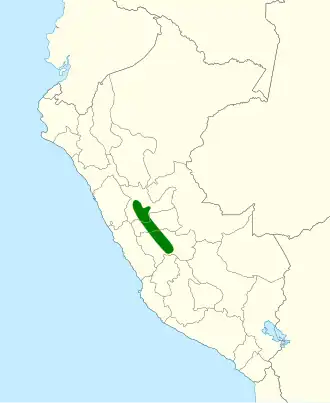 Taczanowski's struikgors