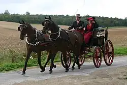 Tweespan (ook: dubbelspan)