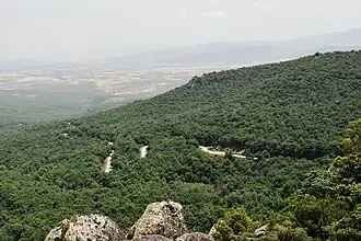 Overzicht over het park