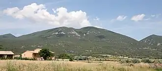 Zuidelijke flanken van de Monts de Vaucluse nabij het Signal de Saint-Pierre
