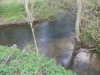 Monding in de Elsava bij Eschau