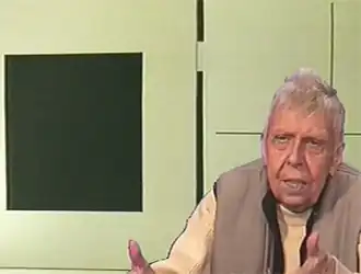 Aurélie Nemours (1995)