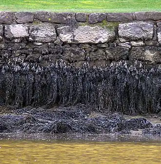 De haven van Auray is een getijhaven
