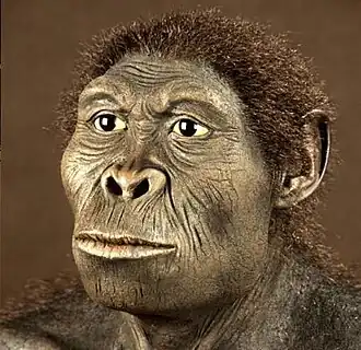 Australopithecus bahrelghazali