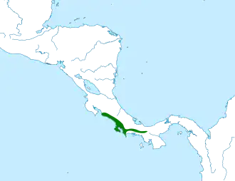 Chiriquíbladspeurder