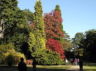 Westonbirt Arboretum, Gloucestershire