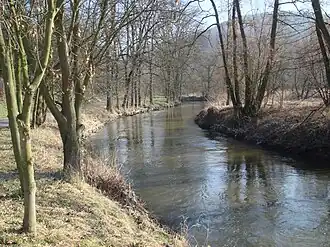 Řeka Bílina nabij de stad Stadice