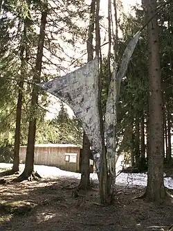 4 : Waldengel (1999)