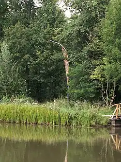 Seewächter 2, Pforzheim