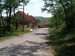 Straat in het dorp (1)