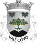 Vlag van Vale Covo