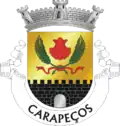 Vlag van Carapeços