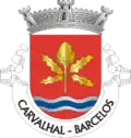 Vlag van Carvalhal