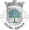 Vlag van Oliveira
