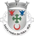 Vlag van Santa Maria da Feira