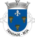 Vlag van Trindade
