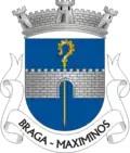 Vlag van Maximinos