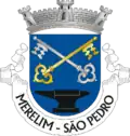 Vlag van São Pedro de Merelim