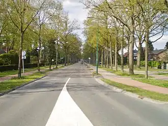 Torenlaan, links Pekingpark