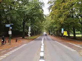 Van Heutszlaan (2013)