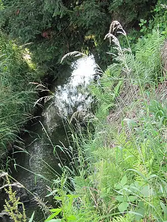 Babbelkroonbeek (foto van 23 juni 2012)