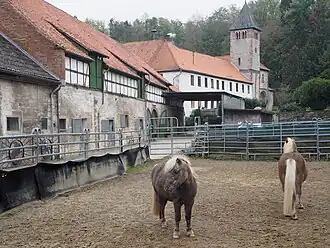 Ponyhoeve met op de achtergrond het voormalige klooster Clus