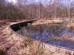 Damwand om water in het gebied te houden