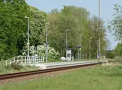 Treinhalte Hammelspring