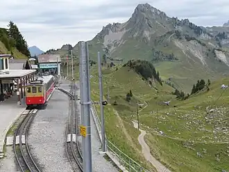 Een trein van de Schynige Platte-Bahn in het station Schynige Platte