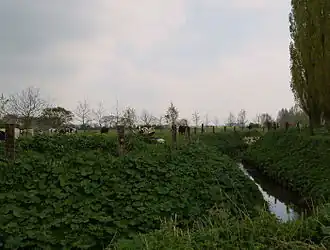 De Meterenbeek bij Outtersteene