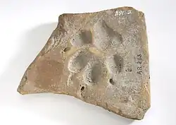 Baksteenfragment met de indruk van een hondenpoot