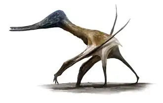 Balaenognathus