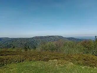 Zicht op de Ballon de Servance