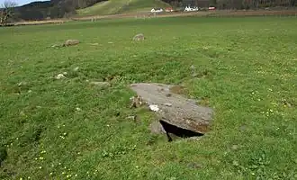 Ballymeanoch henge (uit het neolithicum) met de cairn uit de vroege bronstijd vooraan