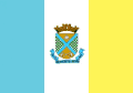Vlag van Benedito Novo