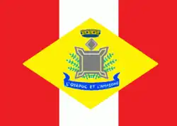 Voorgestelde vlag (1984), nooit gebruikt