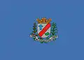 Vlag van São Joaquim da Barra