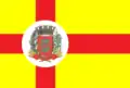 Vlag van Óleo