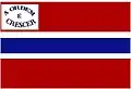 Vlag van Barra do Mendes
