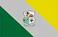 Vlag van Capão do Leão