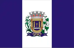 Vlag van Leme